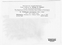Image Associated With the Occurence